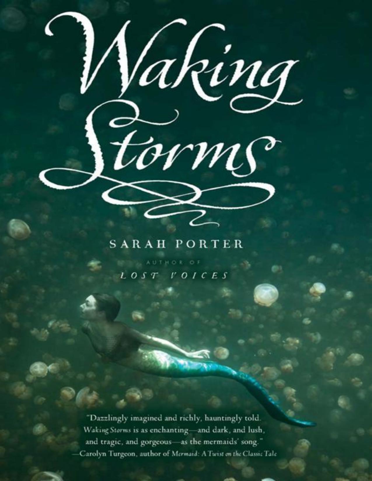 Waking Storms de Sarah Porter, portada del libro