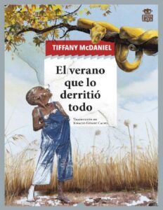 Portada de El verano que lo derritió todo