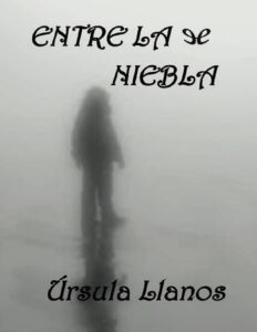 Portada de Entre la niebla