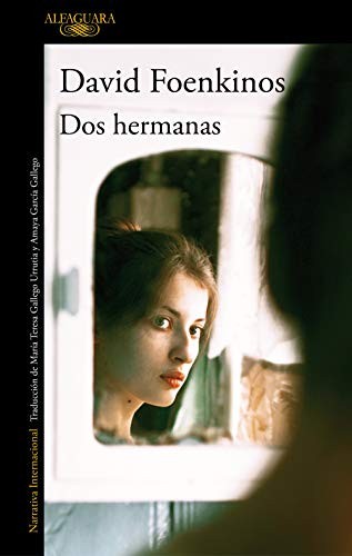 Dos hermanas de David Foenkinos, portada del libro