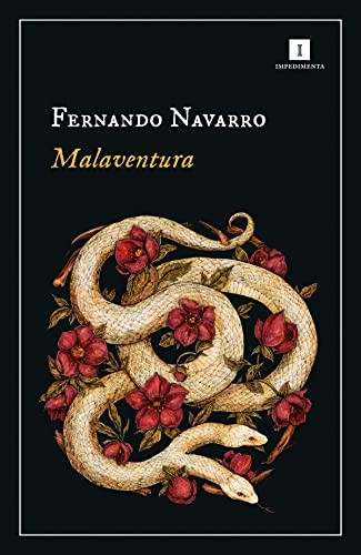 Malaventura de Fernando Navarro, portada del libro