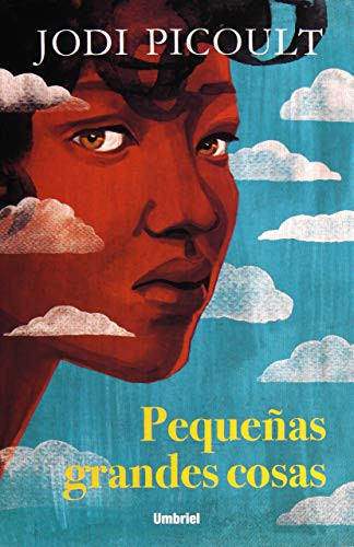 Pequeñas grandes cosas de Jodi Picoult, portada del libro