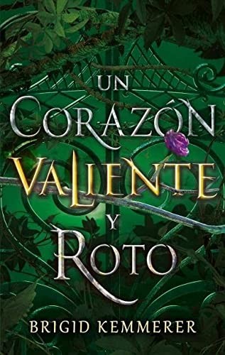 Un corazón valiente y roto de Brigid Kemmerer, portada del libro