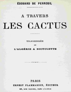 A Travers Les Cactus