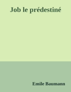 Couverture de Job le prédestiné
