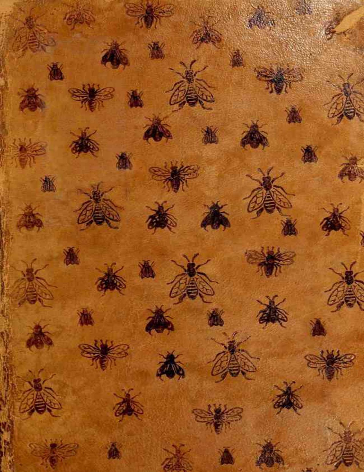 La Vie Des Abeilles