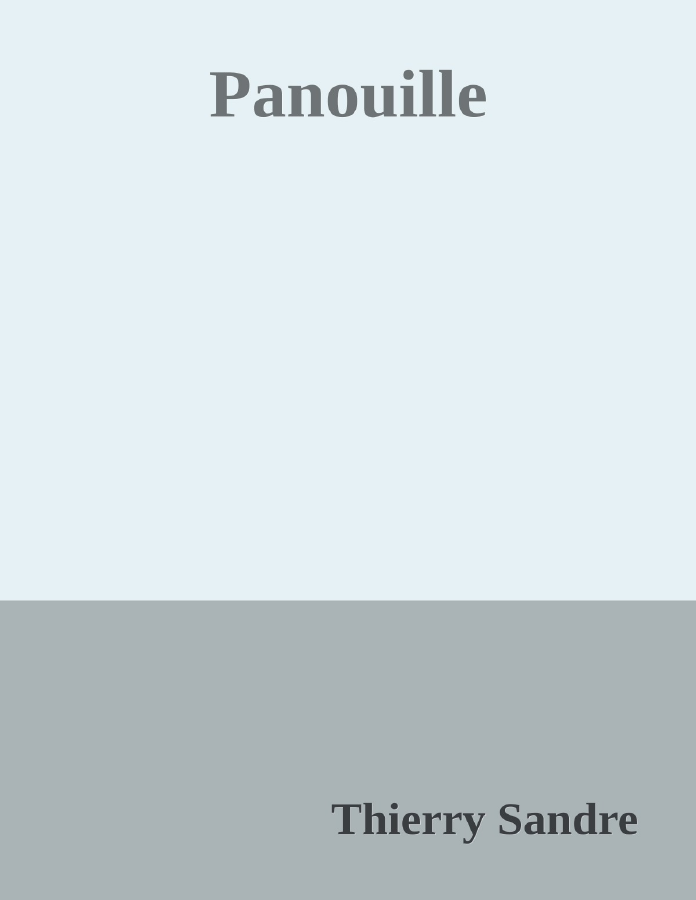 Couverture de Panouille