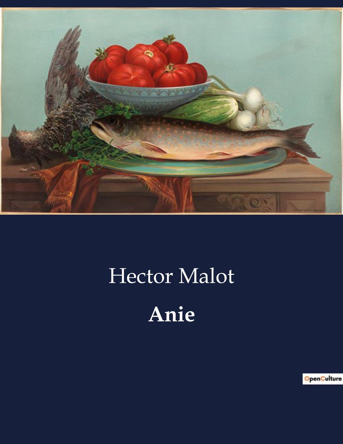 Couverture de Anie