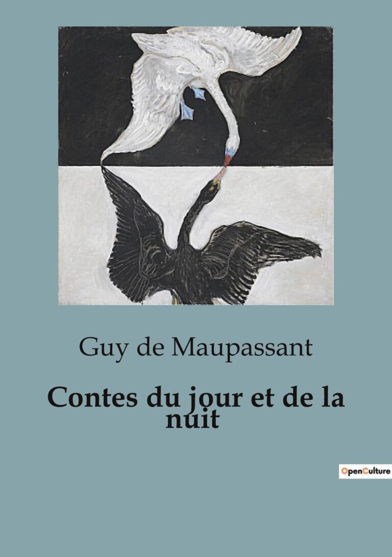 Couverture de Contes du jour et de la nuit