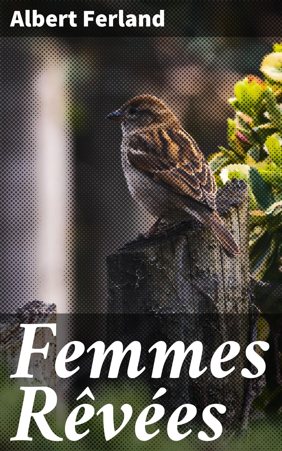 Couverture de Femmes Rêvées