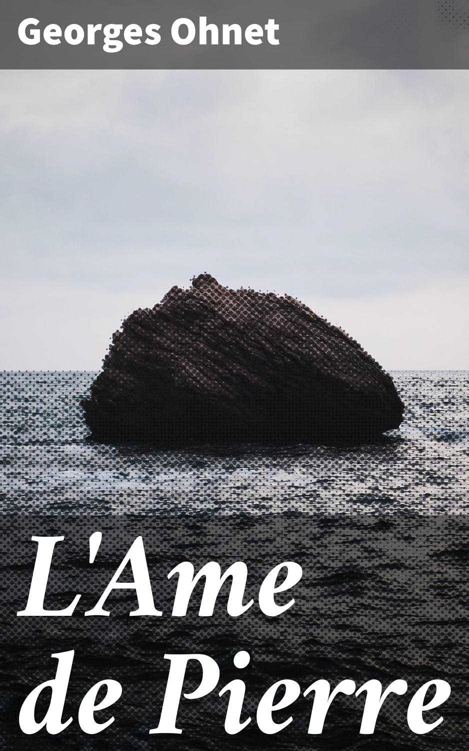 Couverture de L&rsquo;Ame de Pierre