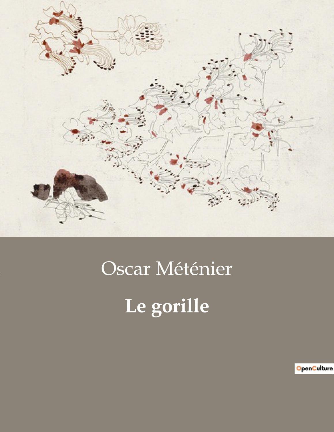 Couverture de Le gorille: roman parisien