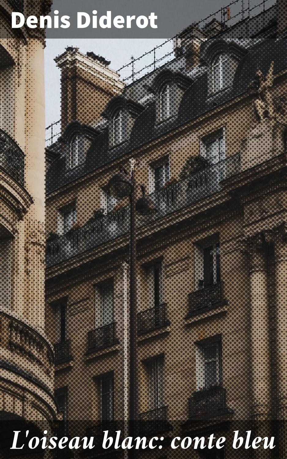 Couverture de L&rsquo;oiseau blanc: conte bleu