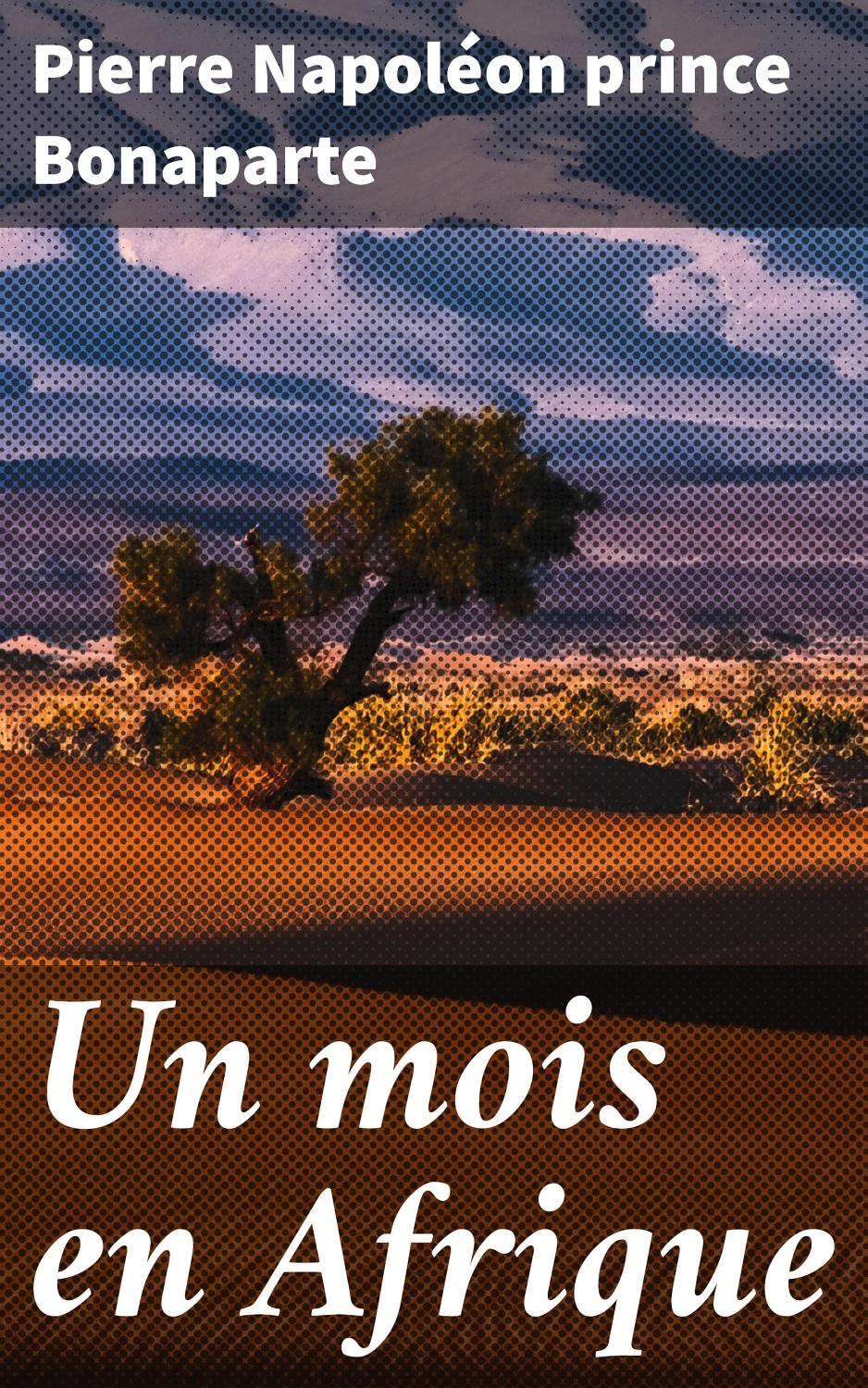 Couverture de Un mois en Afrique