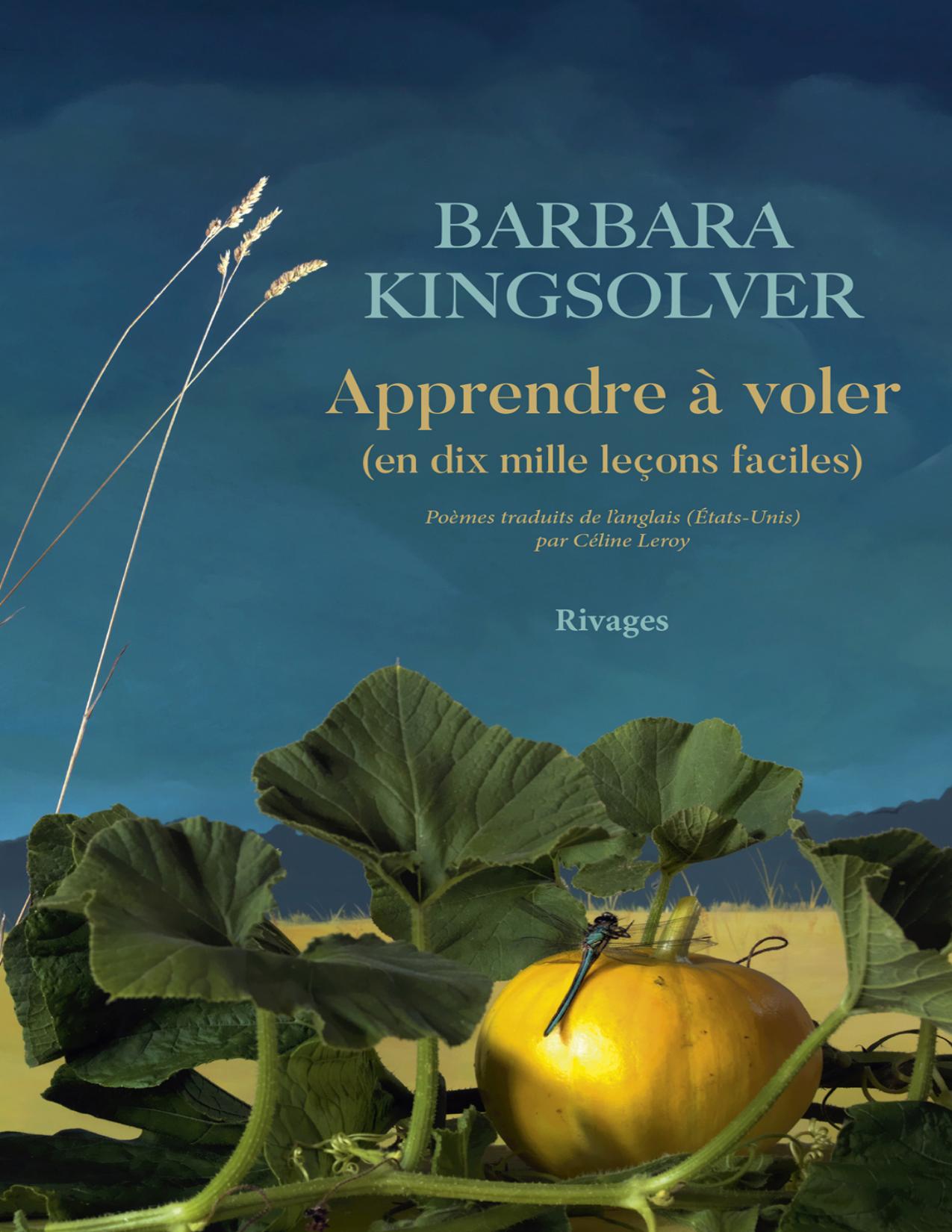 Apprendre A Voler En 10000 Lecons Faciles