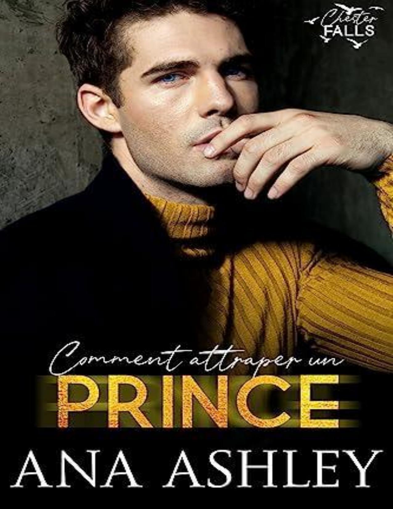 Comment Attraper Un Prince Une Royaute Cachee Une Romance