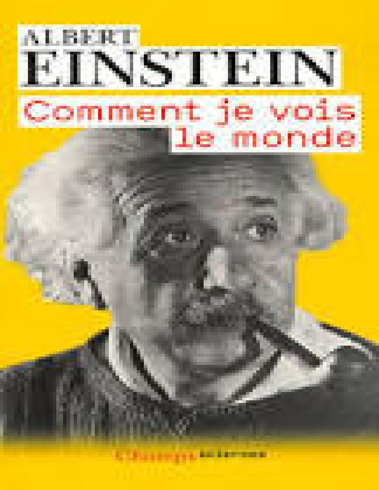 Comment Je Vois Le Monde