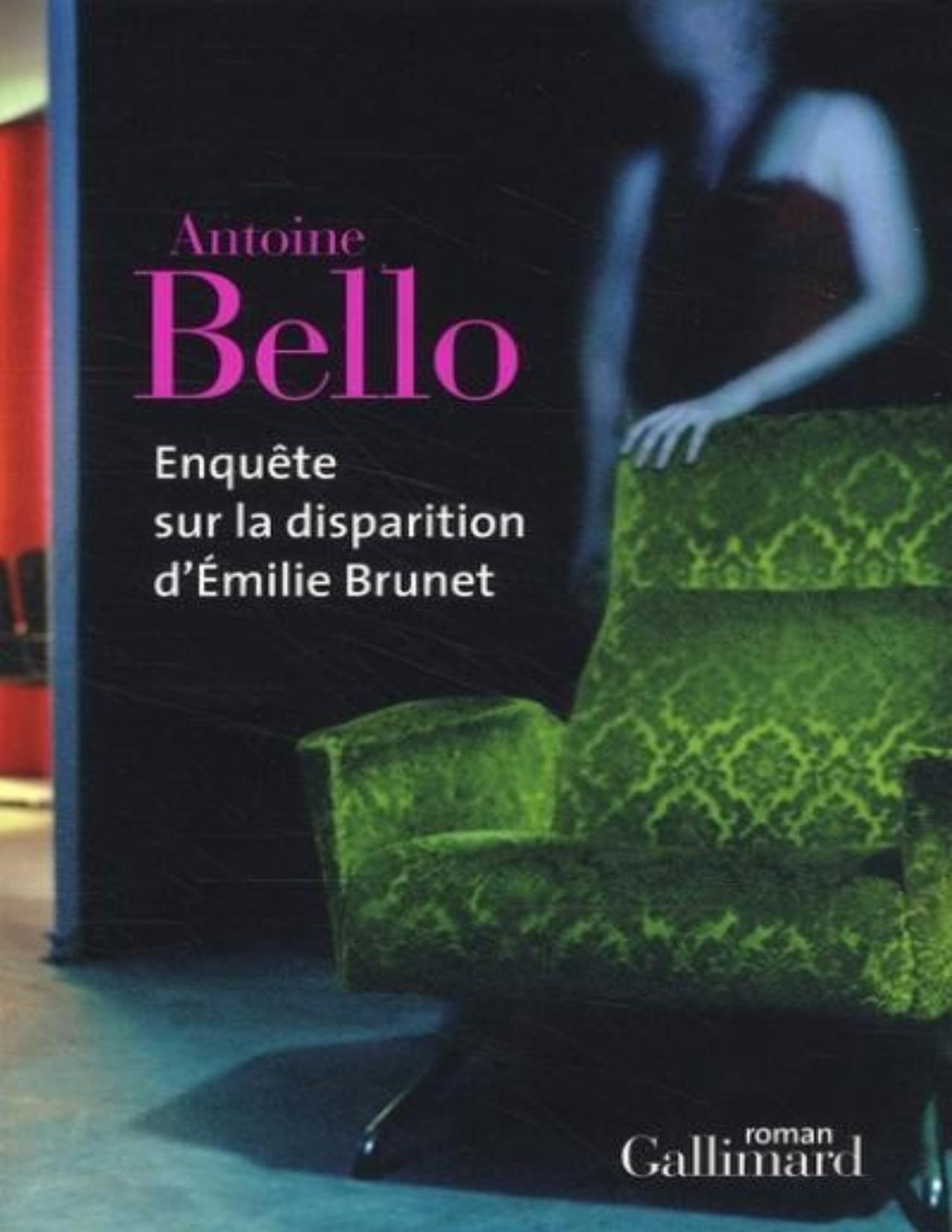 Enquete Sur La Disparition DEmilie Brunet