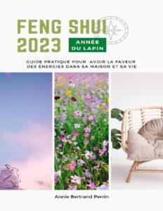 Feng Shui 2023 Annee Du Lapin