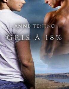 Gris A 18