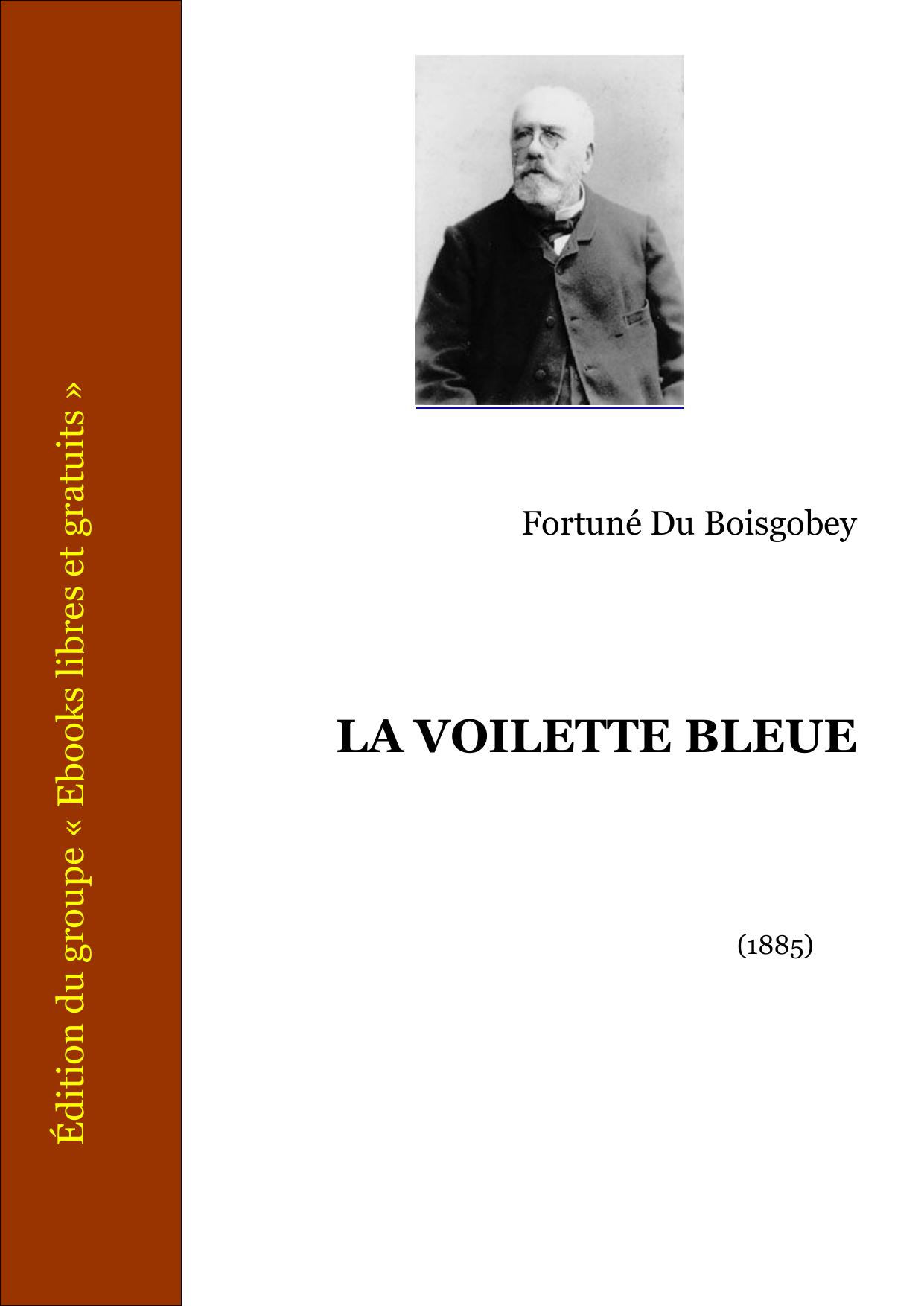 LA VOILETTE BLEUE