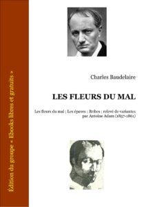 LES FLEURS DU MAL