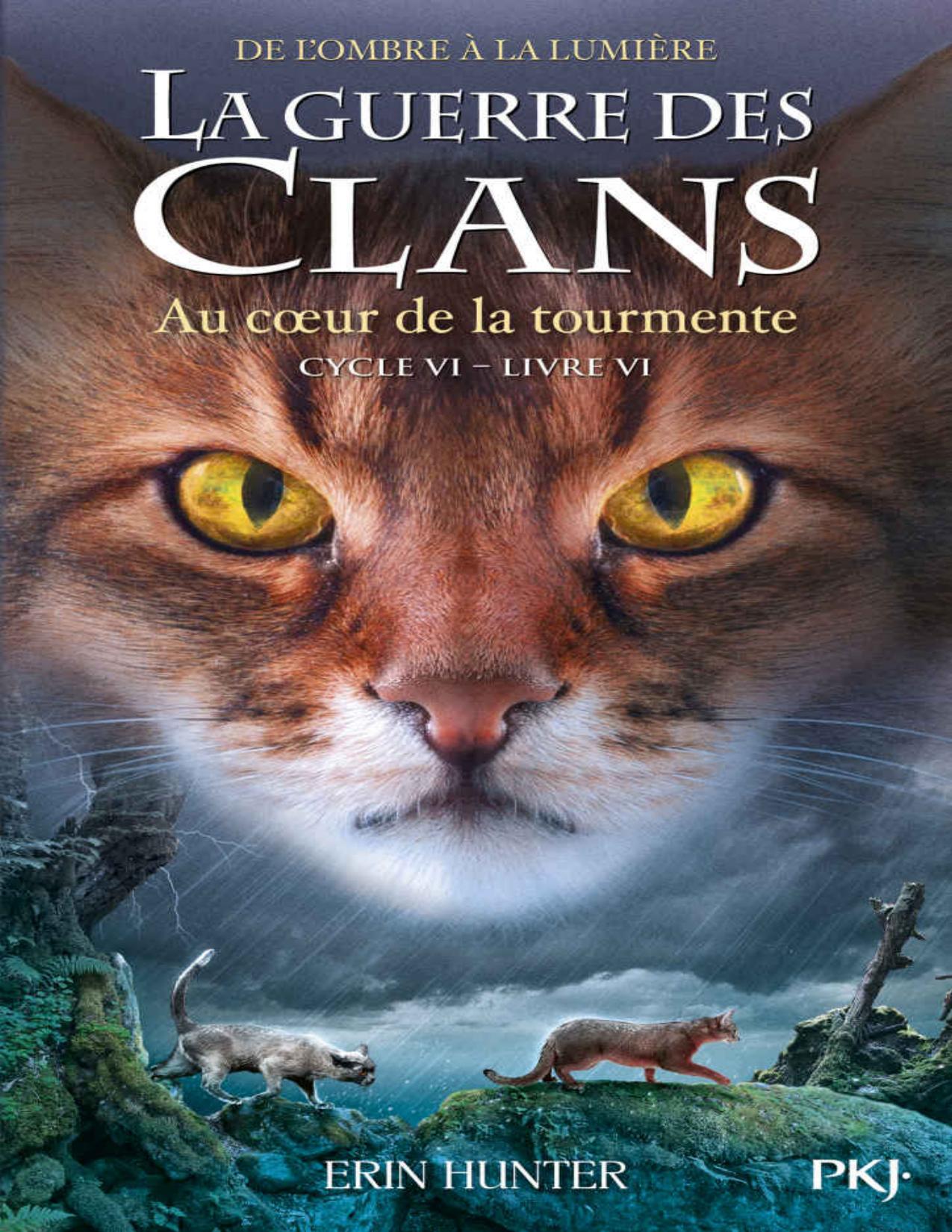 La Guerre Des Clans Cycle VI Tome 06 Au Coeur De La Tour
