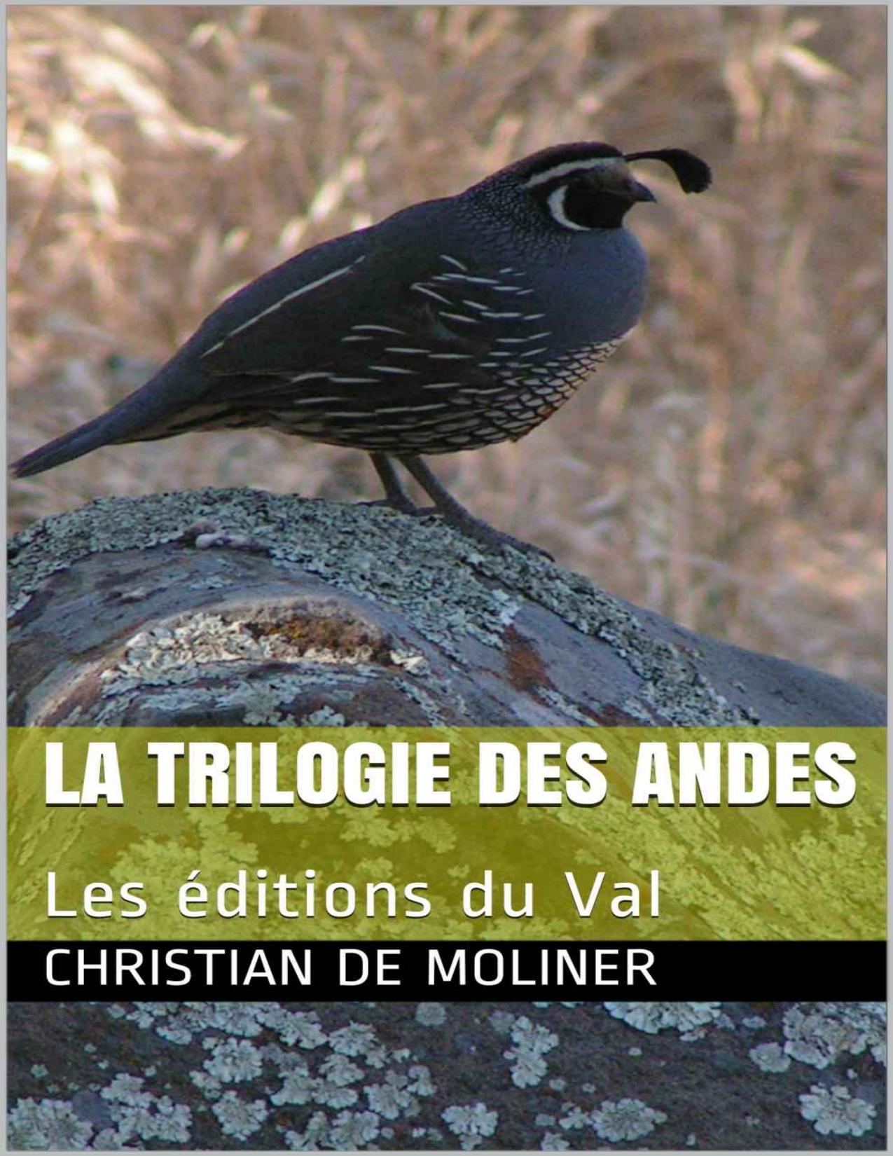 La Trilogie Des Andes