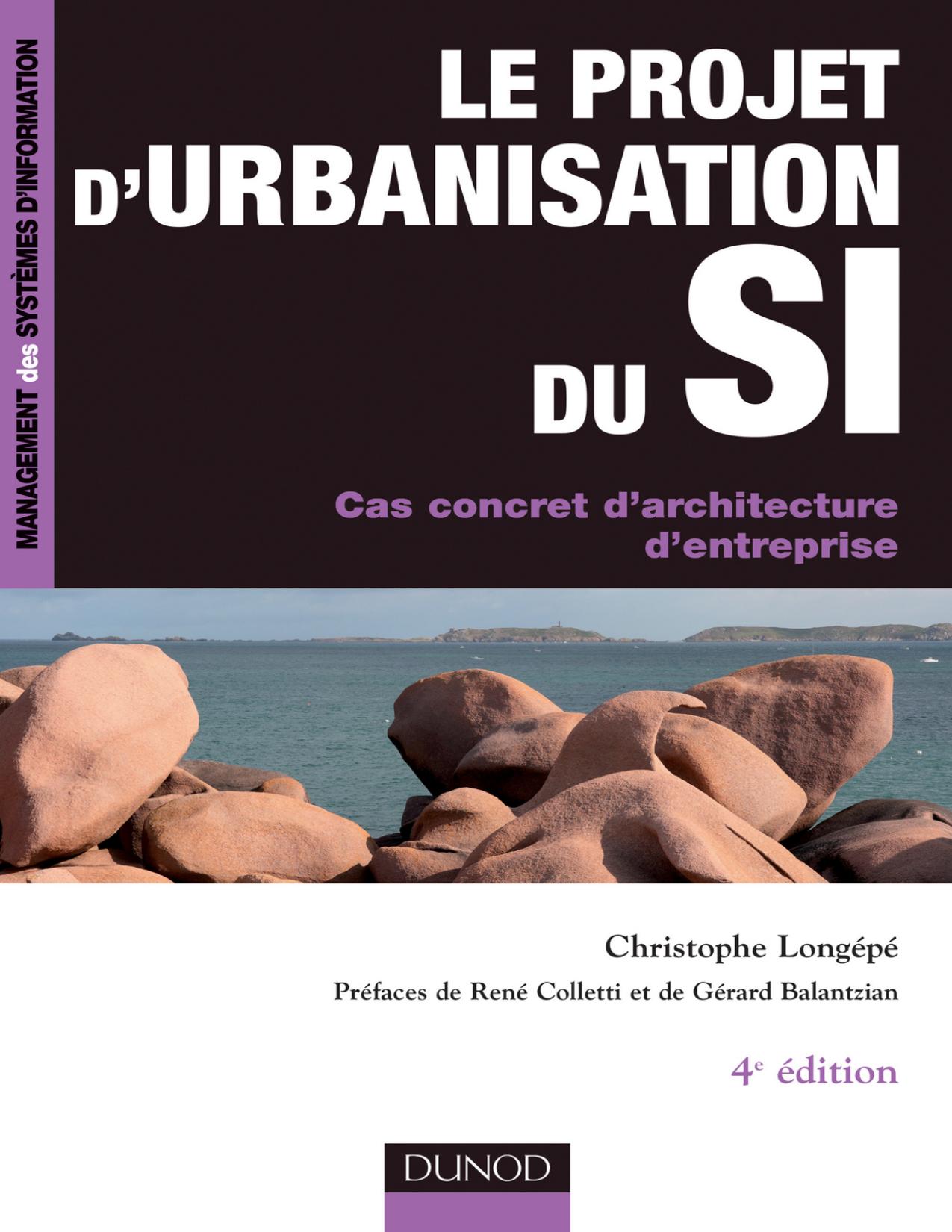 Le Projet Durbanisation Du SI