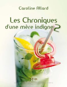 Les Chroniques Dune Mere Indigne 2