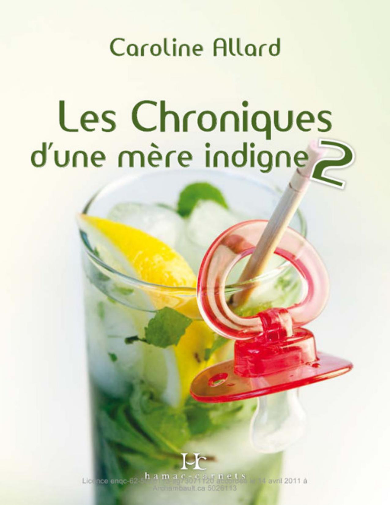 Les Chroniques Dune Mere Indigne 2