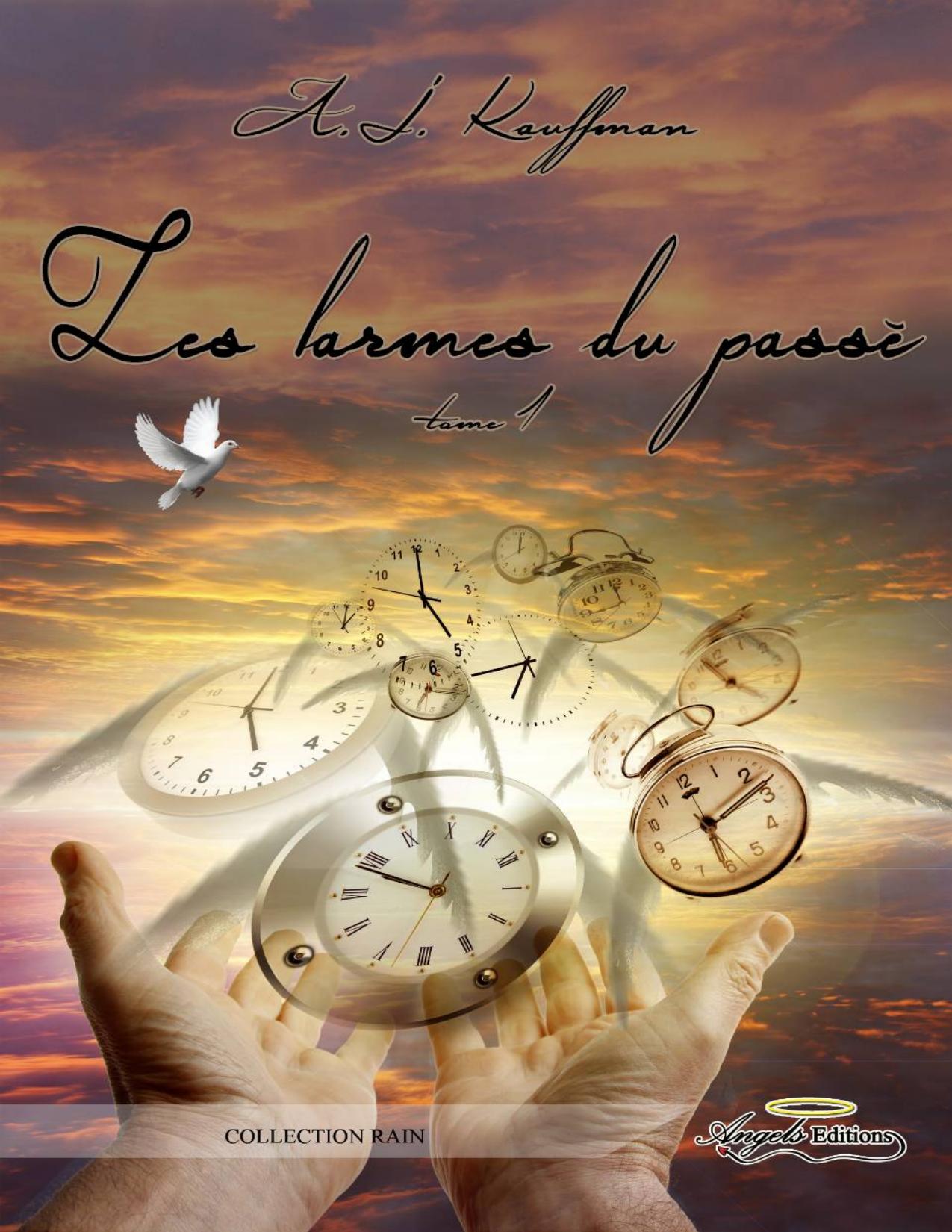 Les Larmes Du Passe Tome 1 AJ Kauffman