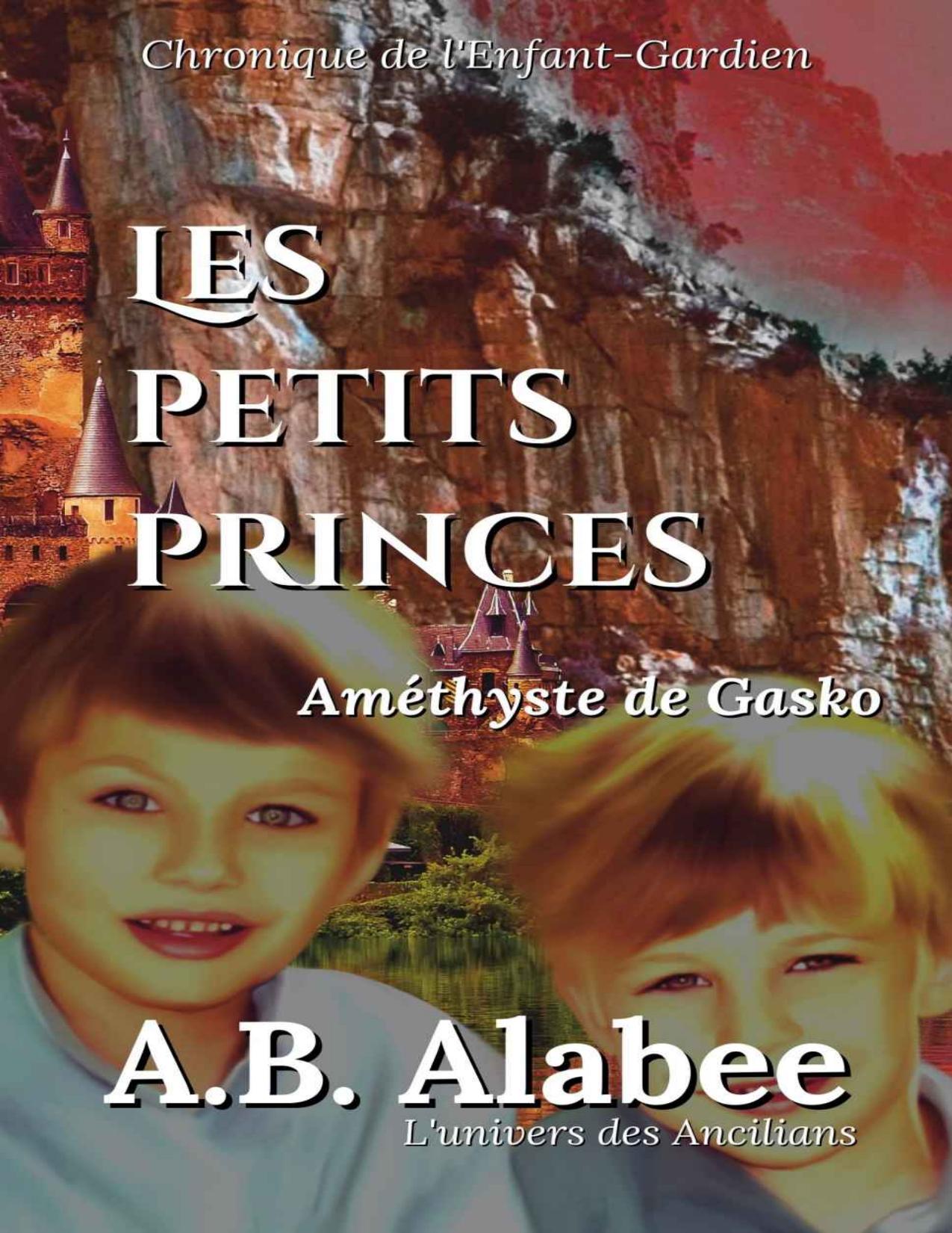 Les Petits Princes Amethyste De Gasko LEnfant Gardien F