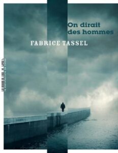 On dirait des hommes by Fabrice Tassel, book cover