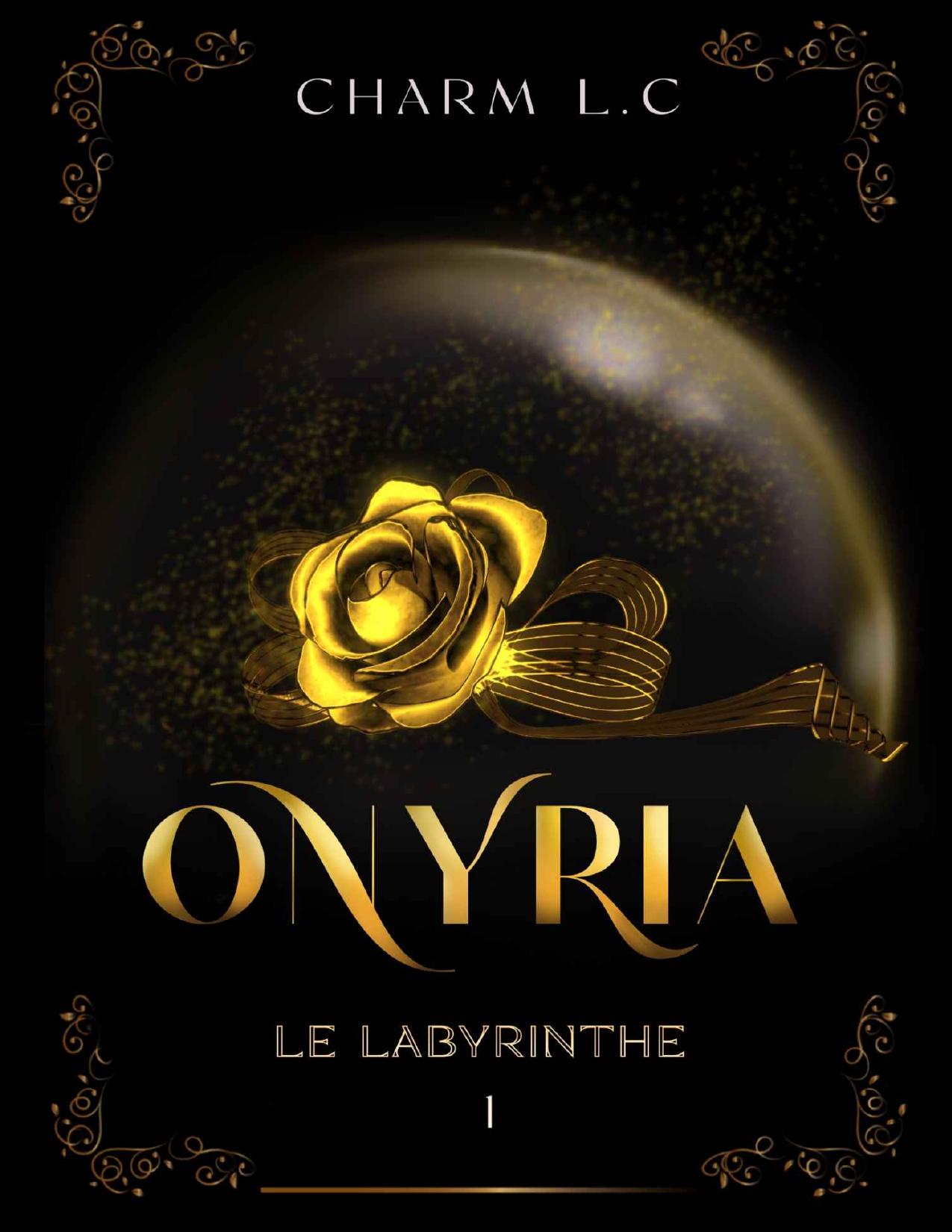 Onyria 1 Le Labyrinthe Romance Sur Fond De Dystopie French