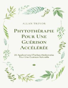 Phytotherapie Pour Une Guerison Acceleree