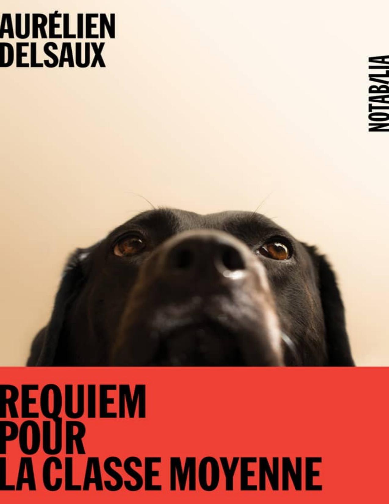 Requiem Pour La Classe Moyenne