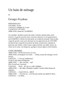 Un Bain De Menage