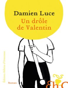 Un drôle de Valentin by Damien Luce, book cover