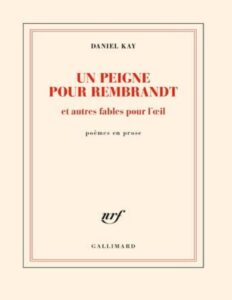 Un Peigne Pour Rembrandt Et Autres Fables Pour Loeil