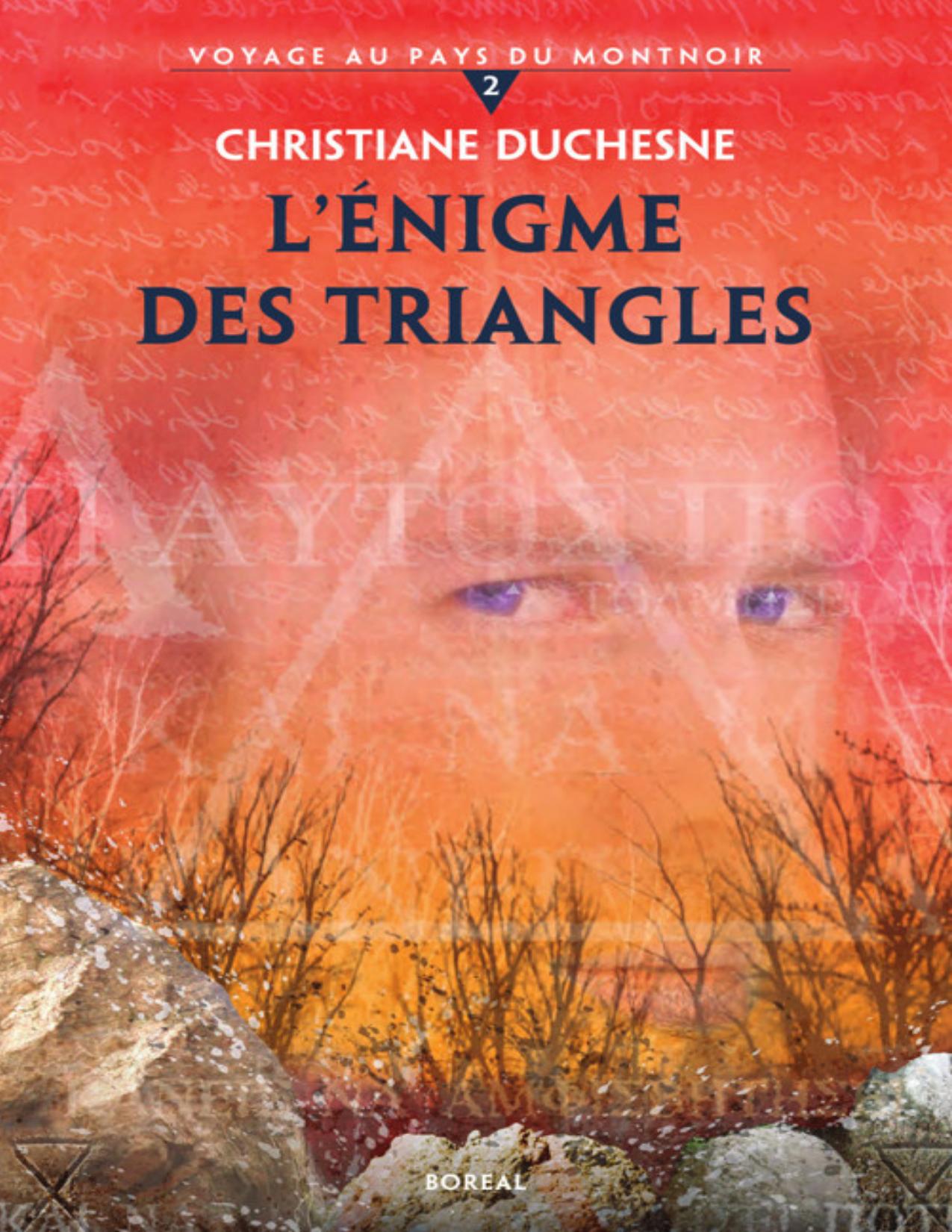 Voyage Au Pays Du Montnoir T2 L Enigme Des Triangles