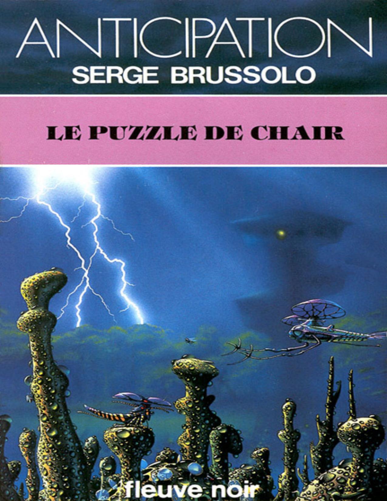 1225 Le Puzzle De Chair