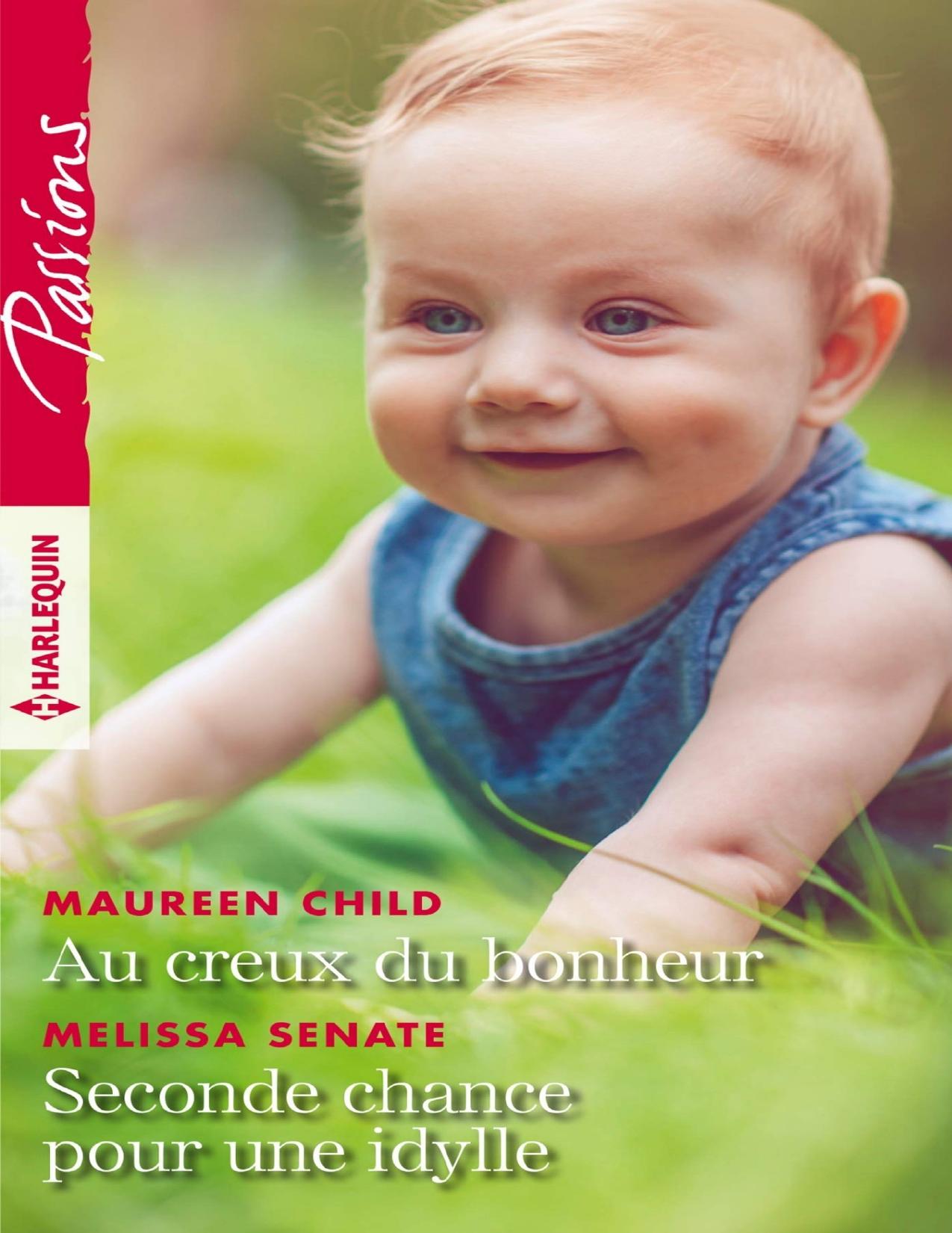 Au Creux Du Bonheur Seconde Chance Pour Une Idylle