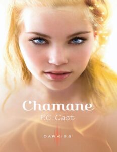Chamane, couverture du livre