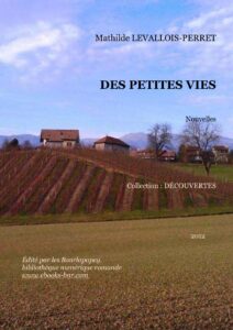 Des Petites Vies, couverture du livre