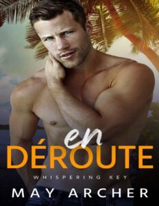 En Déroute (French Edition), couverture du livre