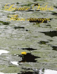 Fleurs Sauvages Poesies