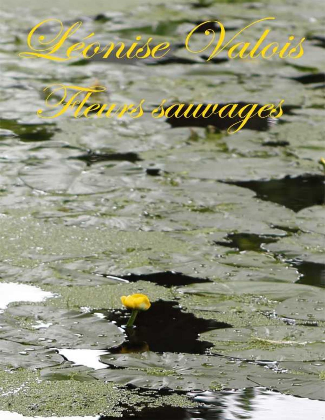 Fleurs Sauvages Poesies