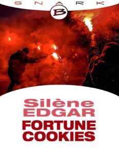 Fortune Cookies by Silène Edgar, book cover