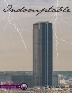 Indomptable by Miley Aaron, book cover